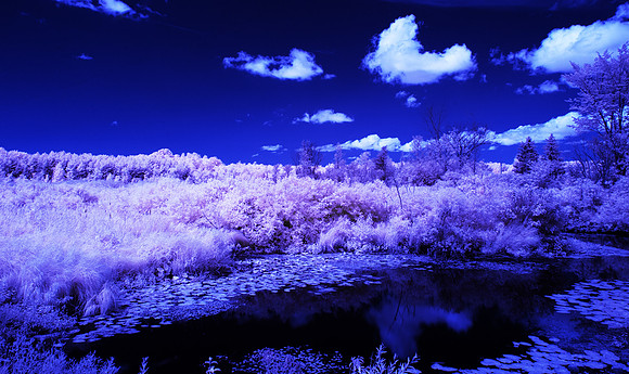 Grey_Ox_Ave_in_IR_0169