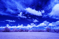 Soybeans_in_IR_0173