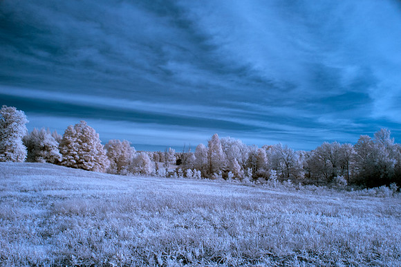 Farm-in-IR-0225