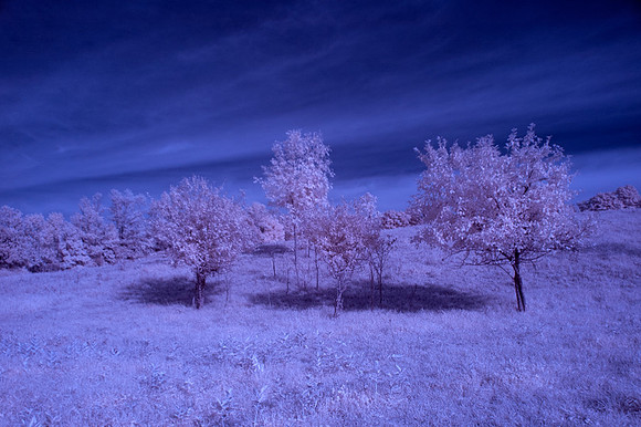Farm-in-IR-0211