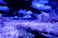 Grey_Ox_Ave_in_IR_0170
