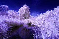 Our_Creek_0127