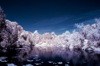 Pond in IR