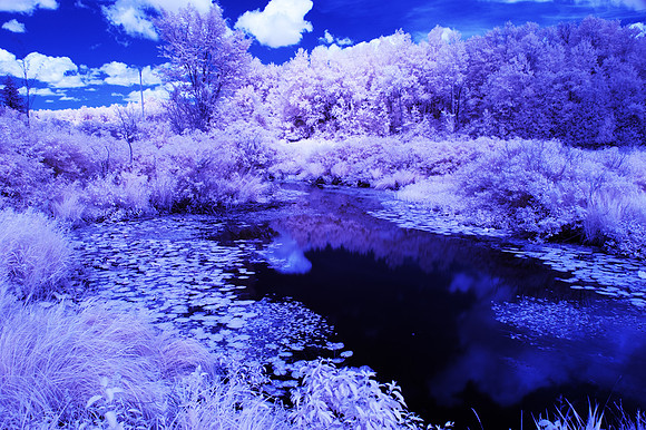 Grey_Ox_Ave_in_IR_0166