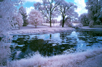 Neighbours_Pond_0122