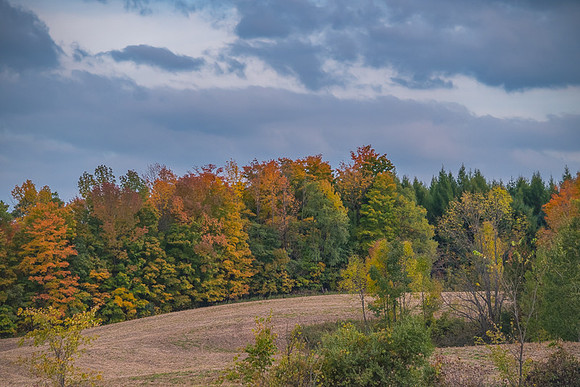 Fall_Colours_2016-2629