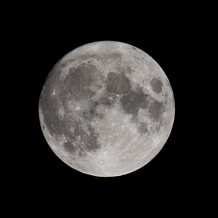 Harvest_Moon_2022_Stowaway_4530-Edit