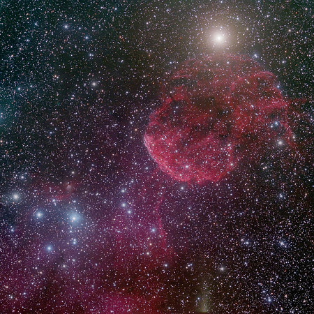 Jellyfish_RGB_AP155_G4_Mar2022