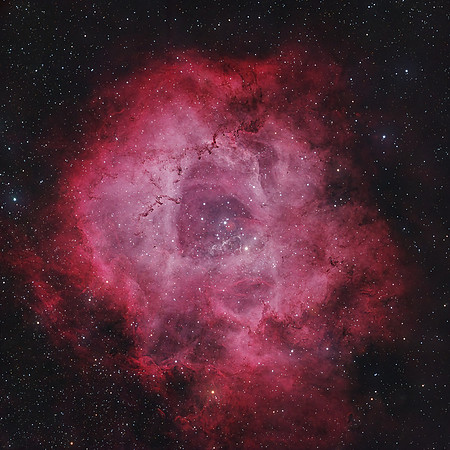 Rosette_RGB_AP155_G4_SqCrop