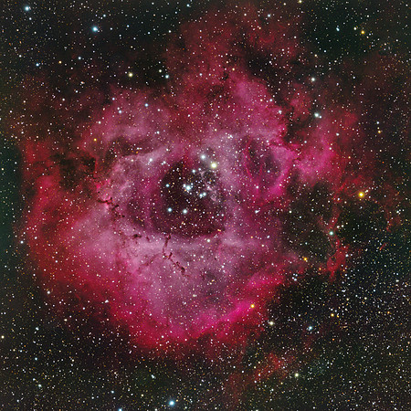 Rosette Nebula in H-alpha and RGB
