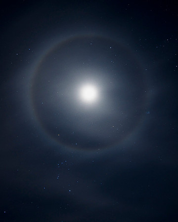 MoonDog_and_Orion